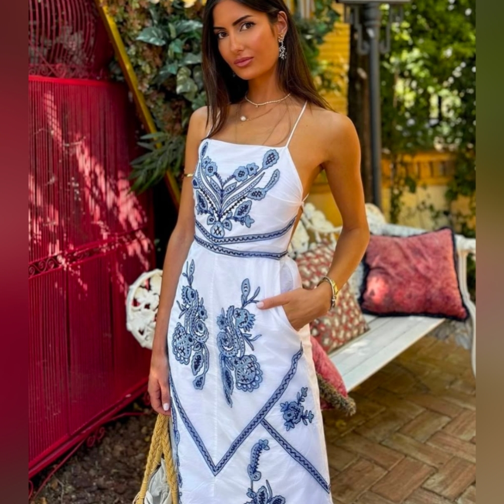 Zara White and Blue Backless Dress